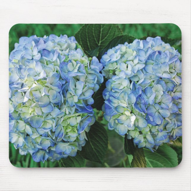 Hydrangea Mouse Pad (Front)
