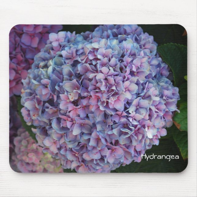 Hydrangea Mouse Pad (Front)