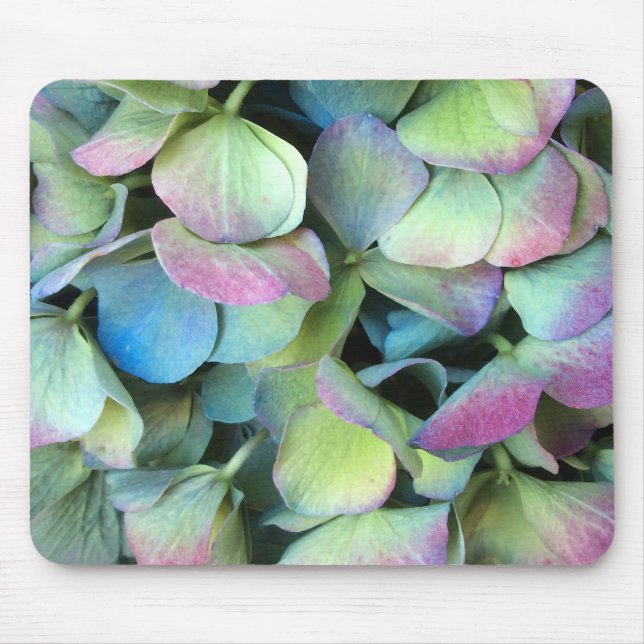 HYDRANGEA  Multi-color petals --- Mouse Pad (Front)