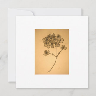 Hydrangea muted Invitation/ Greeting card