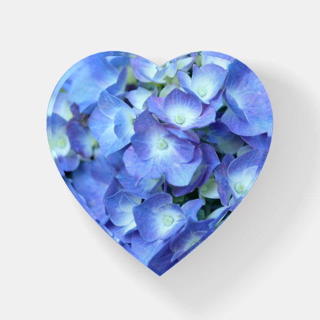 Hydrangea Nikko Heart Paperweight (Front)