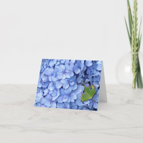 Hydrangea Note Card