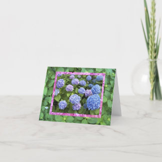 Hydrangea!  note card