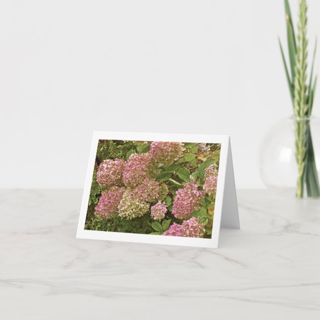 "HYDRANGEA" NOTECARD (Front)