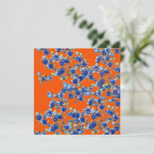 hydrangea orange and blue (Standing Front)