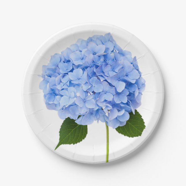 Hydrangea Paper Plates (Front)