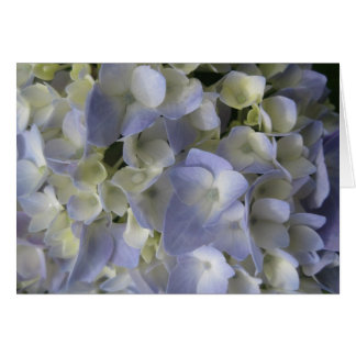 Hydrangea petals cards