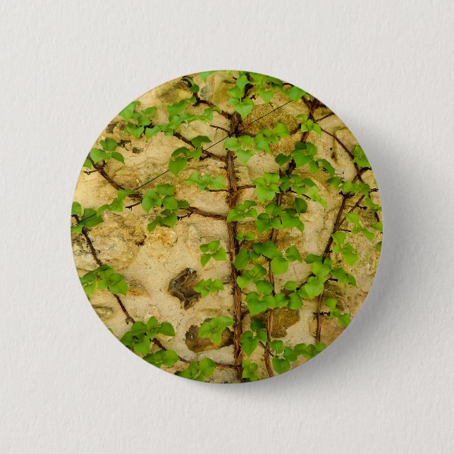 Hydrangea petiolaris Badge Button (Front)