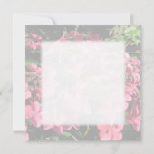 Hydrangea. Pink flowers. Soft Pastel Colors. (Back)