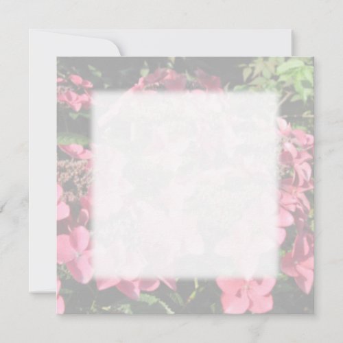 Hydrangea. Pink flowers. Soft Pastel Colors. Personalized Invites