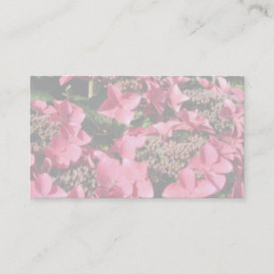 Hydrangea. Pink flowers. Soft Pastel Colors. Business Card