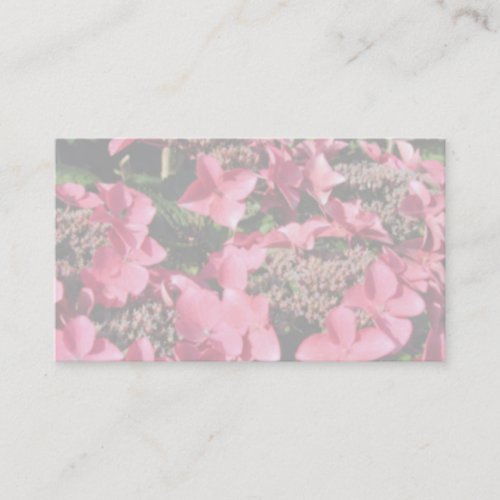 Hydrangea. Pink flowers. Soft Pastel Colors. Business Card Template