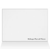 Hydrangea Plant and Flowers (Inside Horizontal (Top))