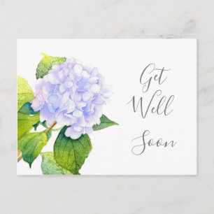 Hydrangea Postcard