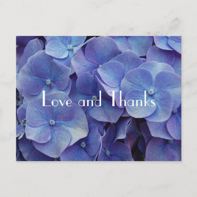 Hydrangea Purple Thank You Postcard (Front)