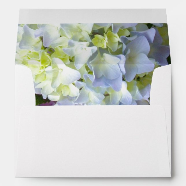 Hydrangea\s blue yellow flowers envelope (Back (Bottom))