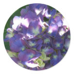 Hydrangea Stickers