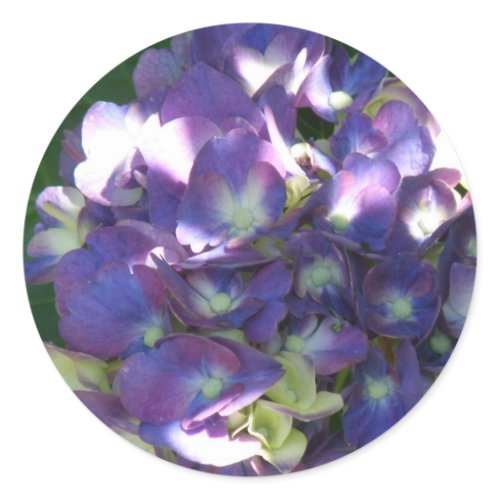 Hydrangea Stickers