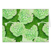 Hydrangea watercolor pattern (Front Horizontal)