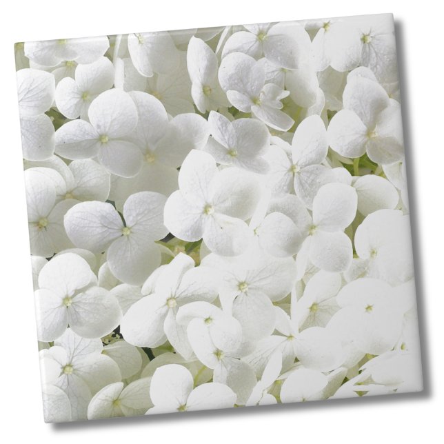 Hydrangea White Floral Pattern Ceramic Tile (Simple Elegant White Hydrangea Flower Floral Ceramic Tile)