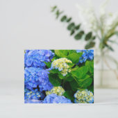 Hydrangeas (Standing Front)