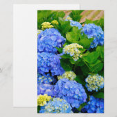 Hydrangeas (Front/Back)
