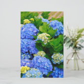 Hydrangeas (Standing Front)