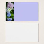 Hydrangeas (Front & Back)