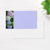 Hydrangeas (Desk)