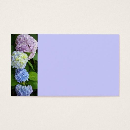 Hydrangeas (Front)