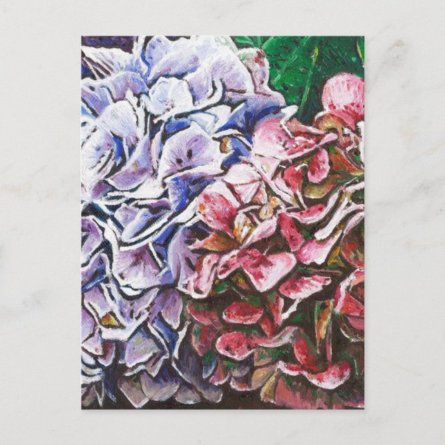 Hydrangeas 2010 postcard (Front)