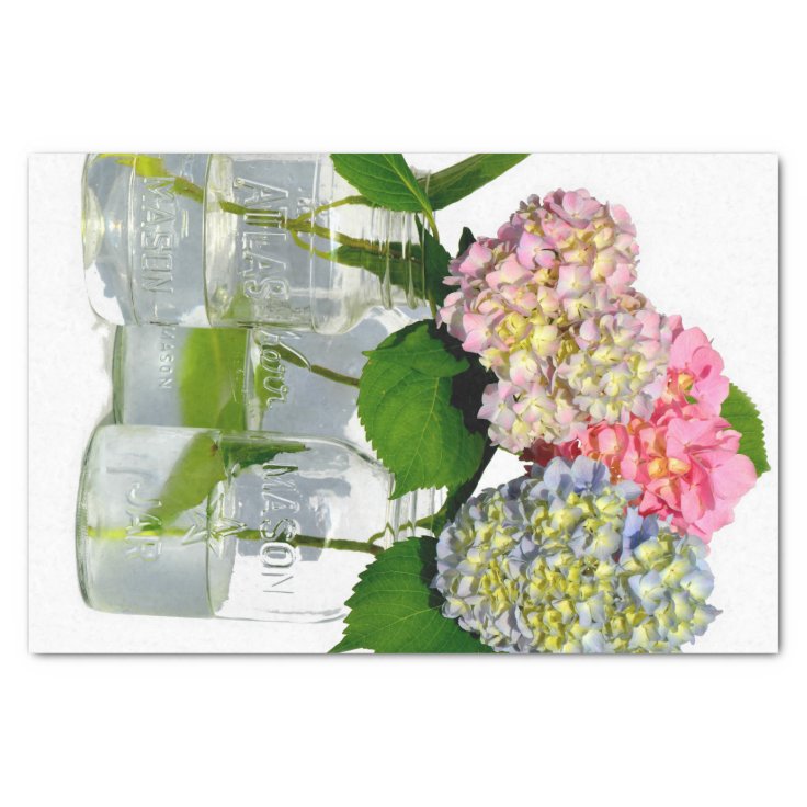 Hydrangeas and Mason jar Tissue Paper Zazzle