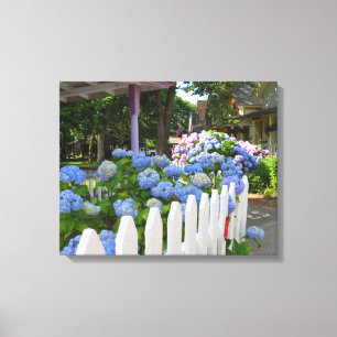 Hydrangeas and Picket Fence - Martha's Vineyard Canvas Print