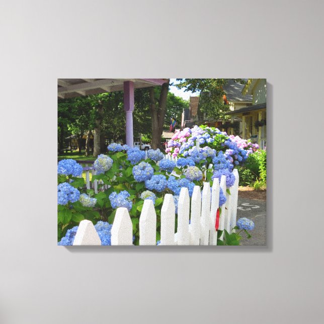 Hydrangeas and Picket Fence - Martha's Vineyard Canvas Print (Front)