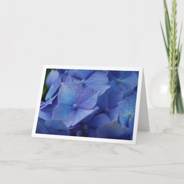 Hydrangeas Card (Front)
