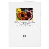 Hydrangeas Cards (Back)