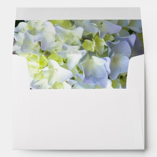 Hydrangeas Envelope (Back (Bottom))