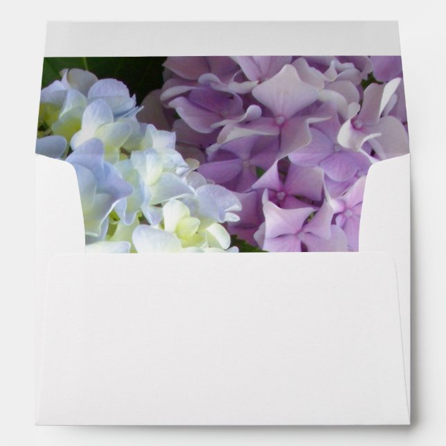 Hydrangeas Envelope (Back (Bottom))