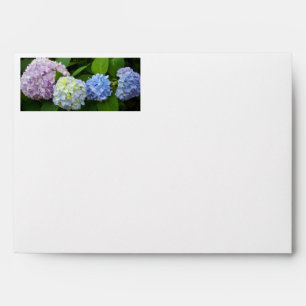 Hydrangeas Envelope