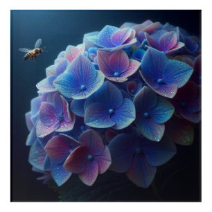 Hydrangeas Floral Purple and Blue Acrylic Print