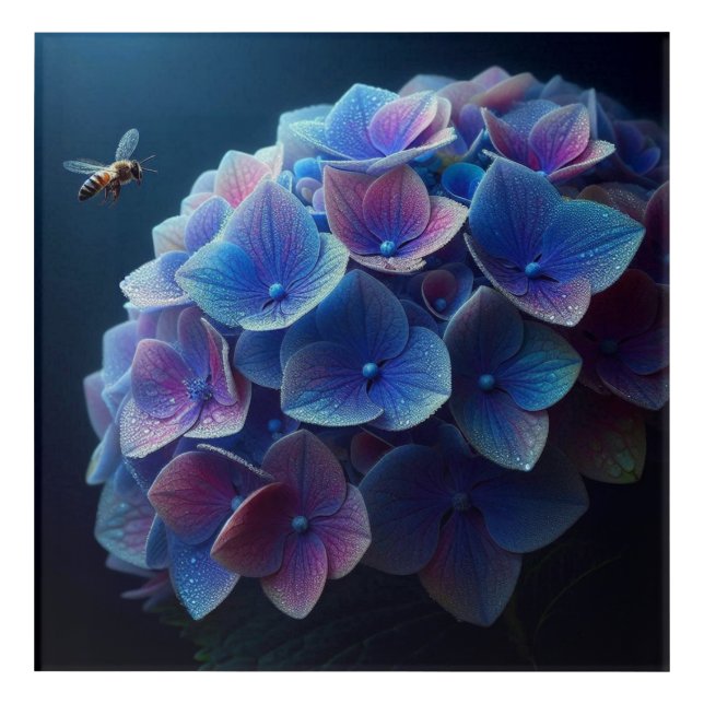Hydrangeas Floral Purple and Blue Acrylic Print (Front)