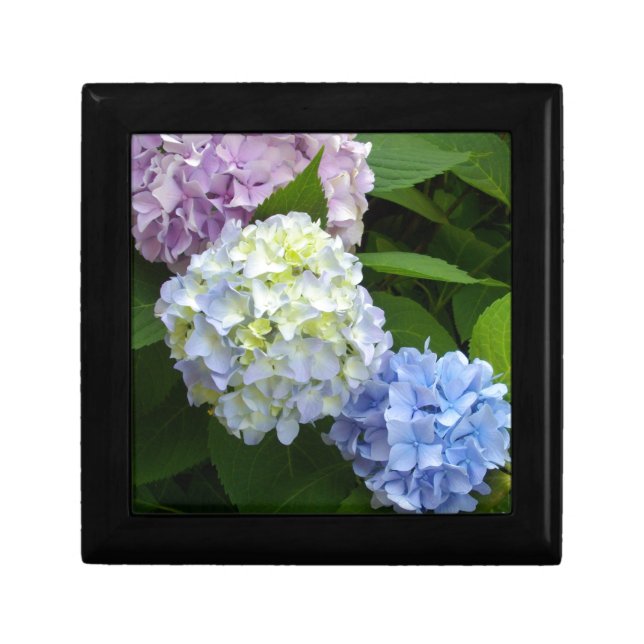Hydrangeas Gift Box (Front)