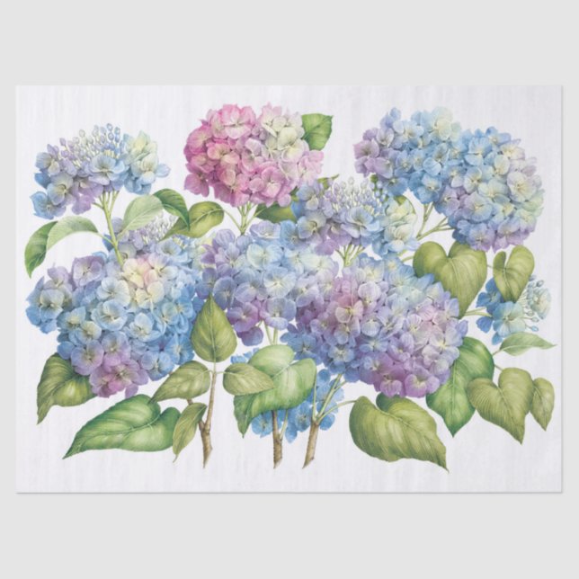 Hydrangeas in Bloom Tissue Paper (Front)