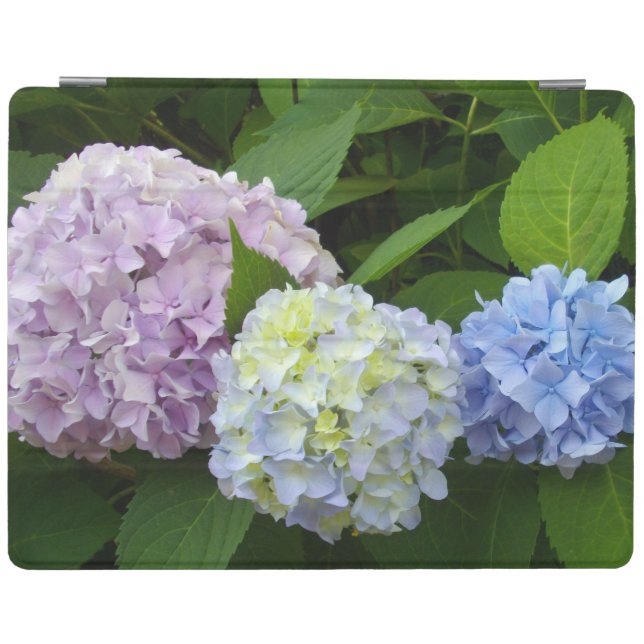 Hydrangeas iPad Smart Cover (Horizontal)