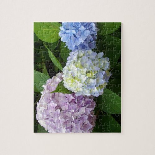 Hydrangeas Jigsaw Puzzle