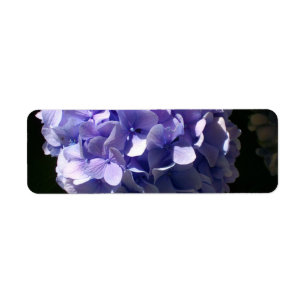 Hydrangeas Label