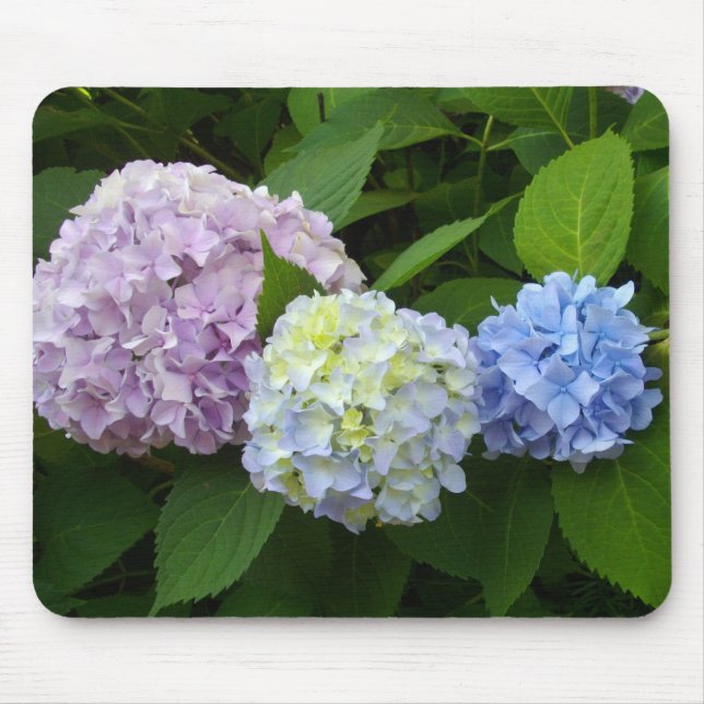 Hydrangeas Mouse Pad (Front)