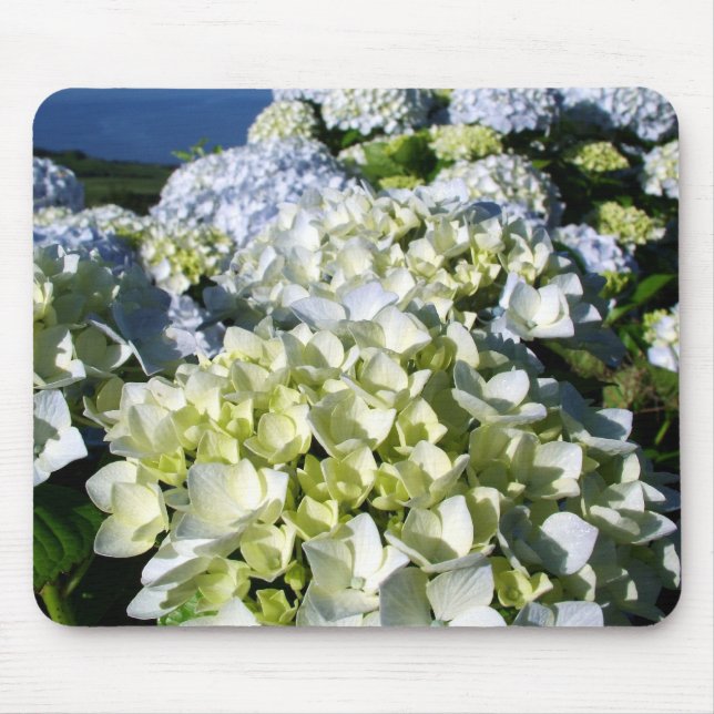 Hydrangeas Mouse Pad (Front)