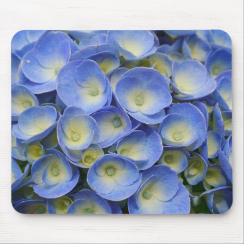 Hydrangeas Mousepad