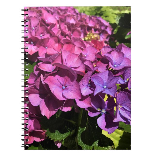 Hydrangeas Notebook (Front)